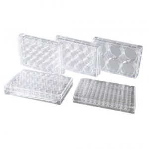 پلیت کشت سلولی نچسب NEST